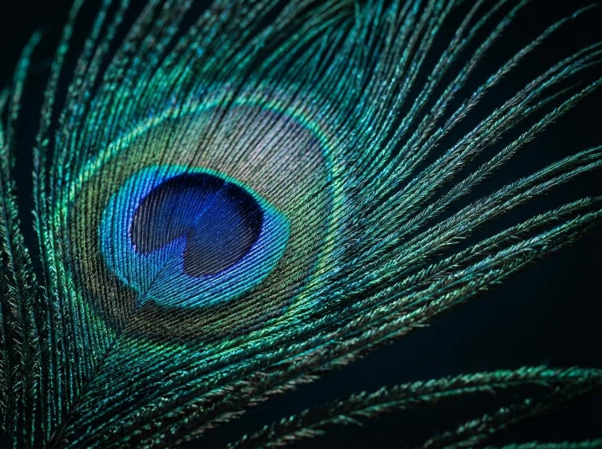 Topaz Upscale example 5