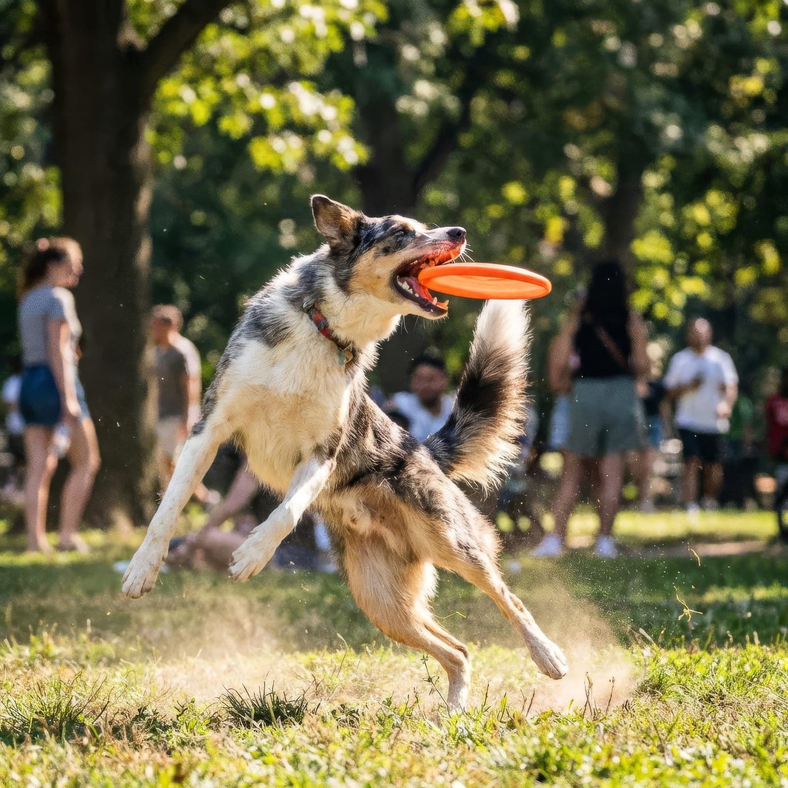 LTX 2.3 Fast example 1